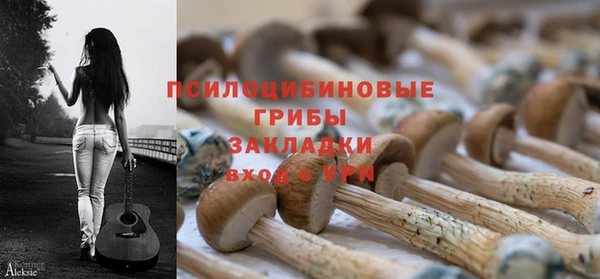 соль ск Саяногорск