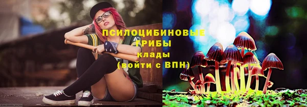 скорость Сафоново
