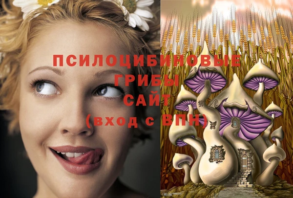 скорость Сафоново