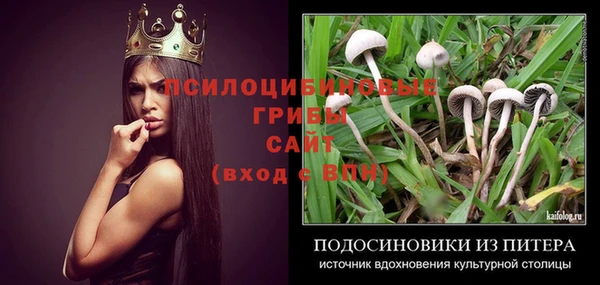 скорость Сафоново