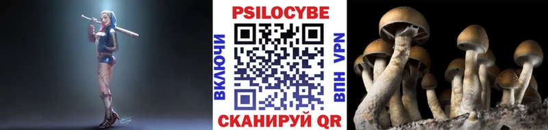 Псилоцибиновые грибы GOLDEN TEACHER  Купить где  Себеж 